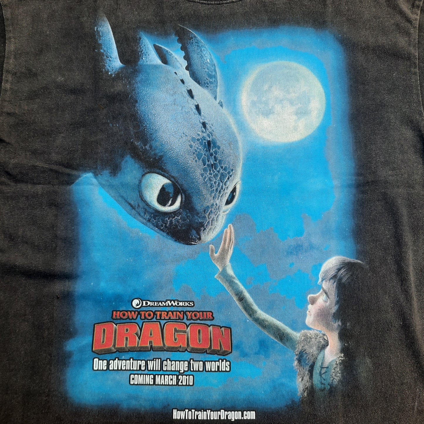 toothless & hiccup enzyme wash tee