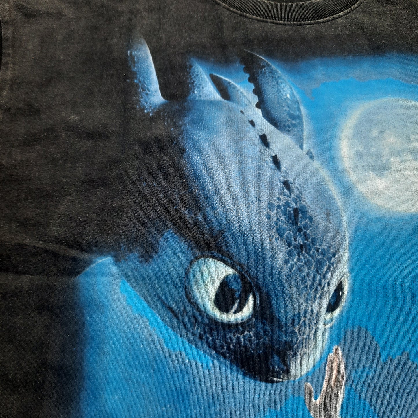 toothless & hiccup enzyme wash tee