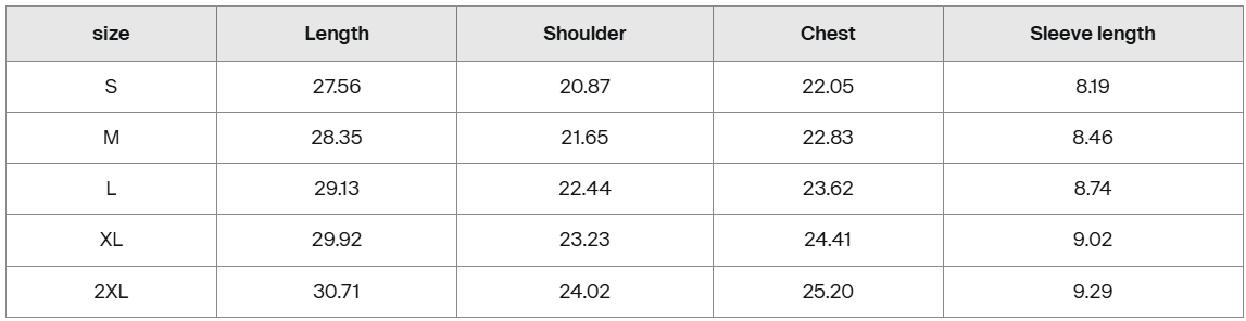 take a spin snow wash tee